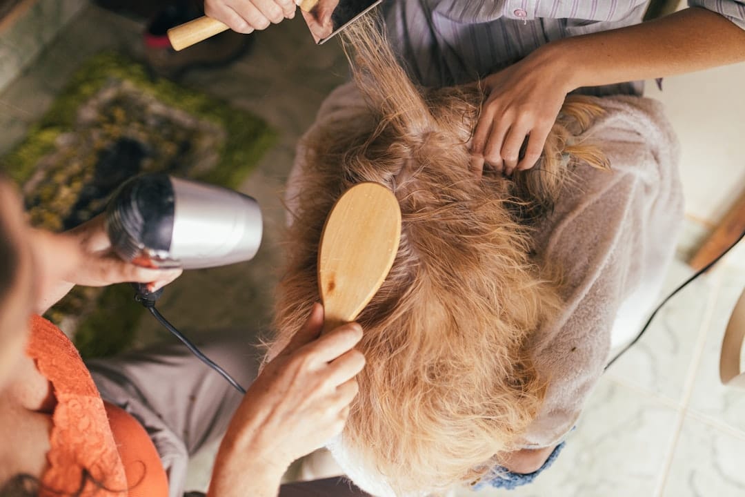Our Salon Blacktown, Dog Grooming