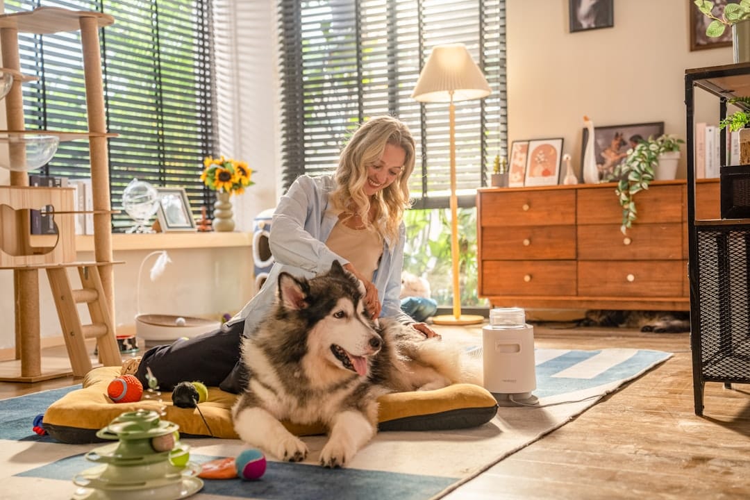 Bubble Dog Grooming Services, Dog Grooming