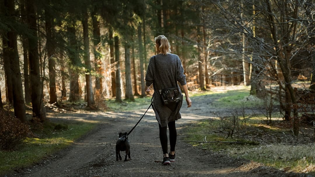 Dogster, Dog Walking